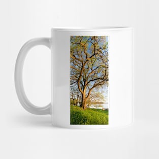 Vertical panorama of big tree Mug